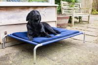 Berkeley Dog Beds Limited