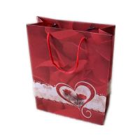 Printed Plastic Gift Bag For Shopping  From China