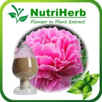 Peony Root Extract/White Peony Root Extract 98%Paeoniflorin From China