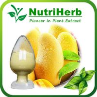 Natural Mango Leaf Exract 95% Mangiferin