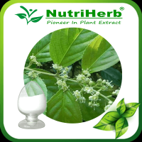 Thunder God Vine Extract / Lei Gong Teng Extract/Tripterygium Wilfordii Extract 98% Triptolide