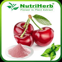 Dried Cherry Powder/Acerola Cherry Extract Powder/Acerola Fruit Juice Powder From China
