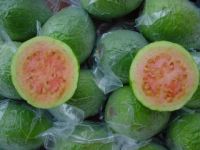 Lemons, Oranges, Pear, Lime, Avocado, Mango. We Are Suppliers Of Fresh Fruits And Vegetables