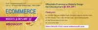 Get A Professionally Built Responsive Website