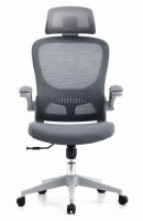 ergonomic office chair in mesh