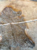 Merino lamb and sheepskins From Germany