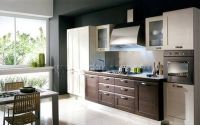 Kitchen Cabinet--PVC