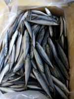 Frozen Layang Scad