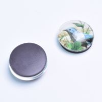round shape crystal glass fridge magnet for refrigerator From China