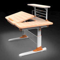 Ergonomic Adjustable Study Desk ZCL