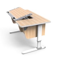 Ergonomic Adjustable Study Desk ZBL