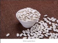 Beans From Kyrgyzstan