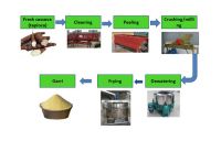 Garri processing equipment plant