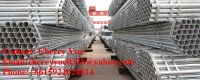 galvanized steel strip  cherryyue0328 at yahoo (dot)com 