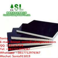 Film Faced Plywood Melamine