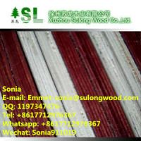 18mm Marine Plywood 