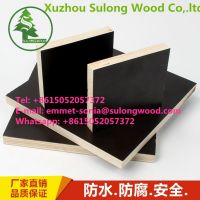 Black/ Brown 18mm Poplar Core Film Faced Shuttering Plywood