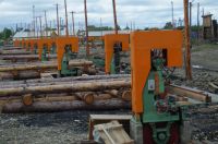 vertical log band saw with automatic cnc log carriage, wood vertical band sawmill