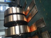 Phosphor Bronze Strip Phosphor Bronze Strip