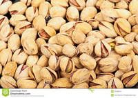 pistachio nuts 