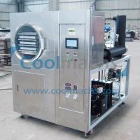 Pilot Freeze Dryer / Lyophilizer for Testing FD Food Products