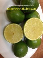 export fresh lemon seedless/ fresh lime