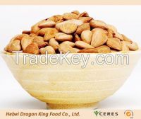 Raw Sweet Apricot Kernels