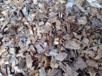 Rubber Wood Chip for fuel, power plant