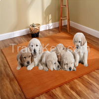 coral fleece pet mat