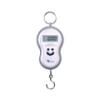 Fishing Scale