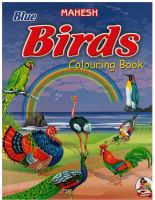 Colouring Books Set of 12