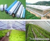 https://cn.tradekey.com/product_view/Agriculture-Film-4530826.html