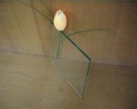 Clear float glass