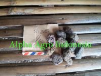 Pumice stone 