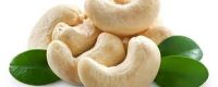 Cashew Nuts