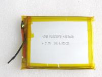 Polymer battery  From China