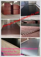 High Quality and Low Price Film Faced Plywood