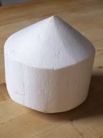 young coconut