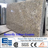 Brazil Butterfly Yellow Granite Slab