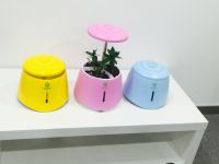 indoor smart garden hydroponic flower and herb grow system