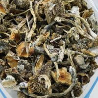 Mushrooms and Medical Weed For Recreational