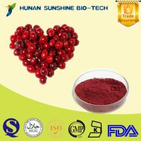 TLC Positive Cranberry Extract Procyanidins 25% Treatment for Anti-aging