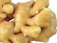 Fresh Ginger Available For Sale &amp; Export