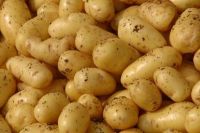 Fresh Irish Potatoes For Sale &amp; Export