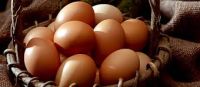 Farm Fresh Chicken Brown &amp; White Table Eggs