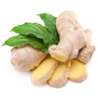 Vietnam Fresh Ginger