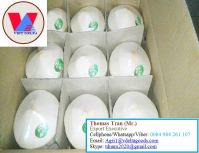 FRESH YOUNG COCONUT - HIGH QUALITY FROM VIETNAM- +84-984261107