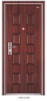 security steel door