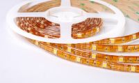 12v SMD Led Strip light 5050 From China