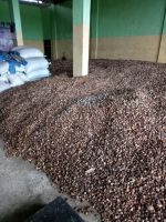 Whole Betel Nut From Indonesia